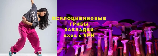 амфетамин Белокуриха