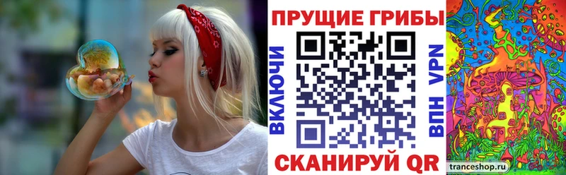 Галлюциногенные грибы Psilocybe  магазин  наркотиков  площадка Telegram  Плёс 